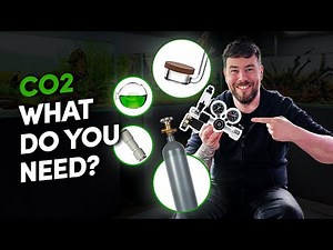 CO2 For Planted Aquarium: What You ACTUALLY Need In 5 Easy Steps