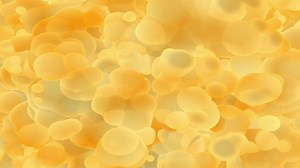 Download Microscopic Organic Microbes for free