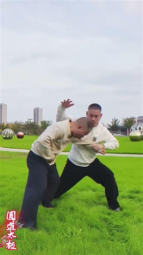 太极实战自卫 这一招必学 #taichi #selfdefense #technique