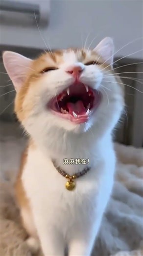 Dealing with Tough Times: My psychiatrist's Quick Appointment Saver