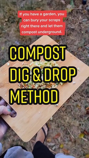 The Ultimate Guide to Composting for Healthy Gardens