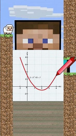 Mathematics vs. Minecraft Minigame Short-Graph of a function