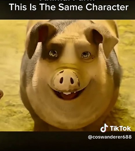 Understanding Characters in Animal Farm Animation