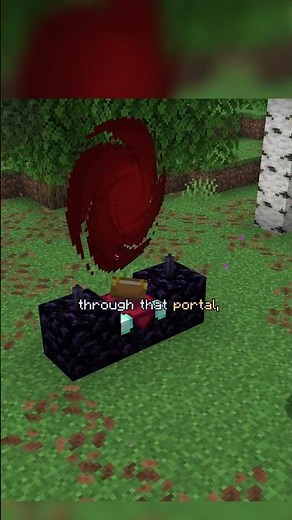 This Minecraft Server Is Peaceful AND Chaotic #minecraft #smp
