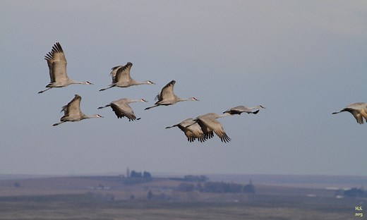 Over the years, the festival has expanded, attracting returning participants from across the country.