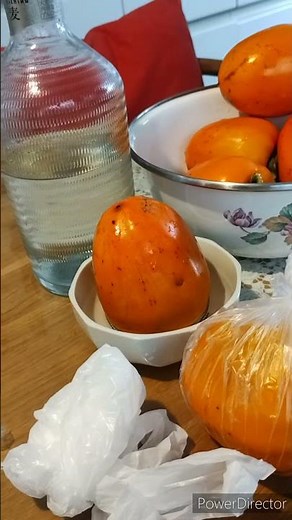 渋柿 焼酎に漬けて渋を抜き甘くする