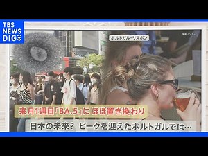 「BA.5」がすでに収束!?日本と似ている…“ポルトガル”から学ぶコロナ対策｜TBS NEWS DIG