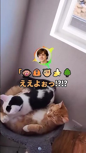 Bakusai people's replies are on a different level → My brain can't recognize them as text [2ch fu...