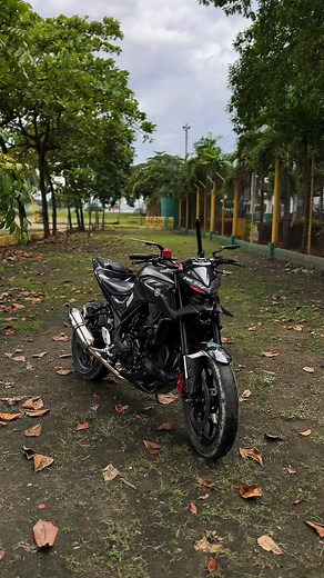 Yamaha MT-03 Overview: Specifications and Features