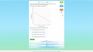 After flying his kite at the beach all day, Bernard wound up th... | Filo