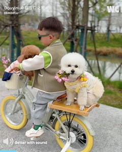 2.1M views · 79K reactions | Puppy Joyrides on a Bicycle!  | Watercooler | Facebook