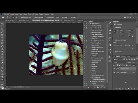 Actions and Automation in Photoshop