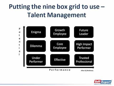 Unveiling the performance and potential matrix - "9 Box" | Webinar | SoftExpert