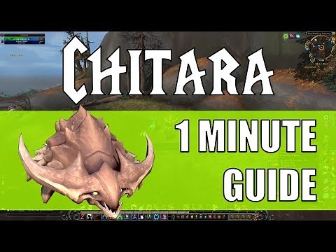 Chitara - Tiragarde Sound Pet Battle 1 Minute Guide