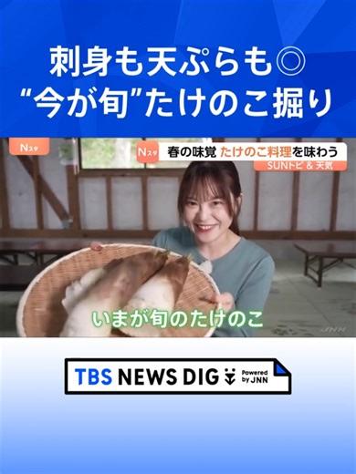 春の味覚 たけのこ料理を味わう 鍬を手にしてたけのこ掘り 山口農園 千葉・大多喜町【SUNトピ】#tbs #tiktokでニュース
