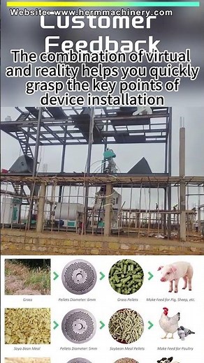 High-Capacity Feed Production System Explained | Step-by-Step Factory Tour #feedpelletmills