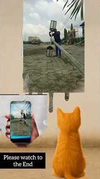 The dignity and respect in labour