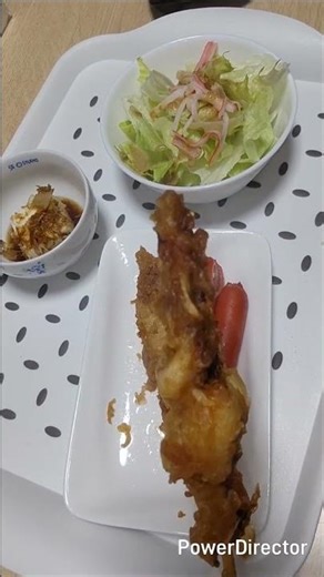 独身40代の食生活4月11日 いかの唐揚げ 赤ウインナー カニカマサラダ かつおぶし豆腐