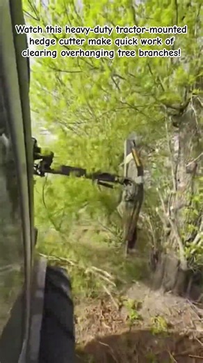 Massive Tree Trimming Machine in Action! 🌳 #Farming #Machinery #Agriculture #LandClearing #Tractor