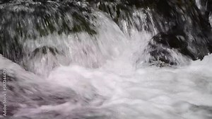 Assessing the Impacts of Drought and Climate Change on Stream Health and Aquatic Biodiversity