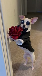 20K views · 675 reactions | Good night !!!❤️ | Diamond Creations | Facebook