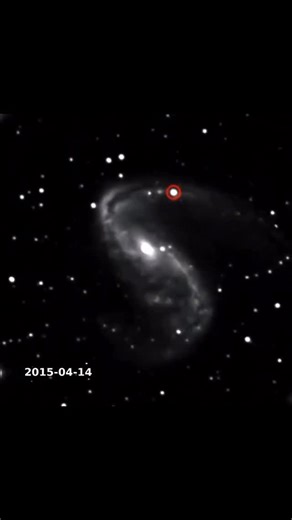 Cosmicverse on Instagram: "🌟 When a star ends, the universe lights up. 🌟 This reel captures the breathtaking explosion of Supernova SN 2015F, a Type Ia supernova that lit up the beautiful spiral galaxy NGC 2442 (The Meathook Galaxy) in 2015. SN 2015F occurred when a white dwarf star stole matter from its companion, crossed the critical limit, and detonated in a thermonuclear explosion — releasing energy so powerful it briefly outshone billions of stars in its entire galaxy. 💥 Type Ia supernov