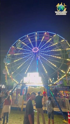 ✨ Sky Wheel Ride at Calvert County Fair 🎡 | Stunning Views & Fun Vibes