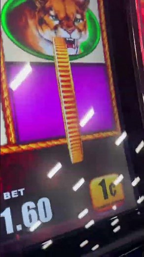 Airport slot machines pay out BIG!