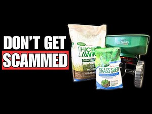 The Problem with Scott's...