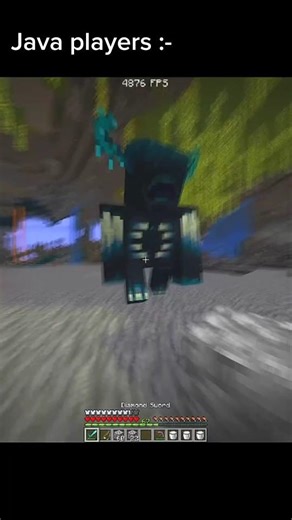 Java Vs Bedrock 😭💔 #minecraft #javaedition #bedrock