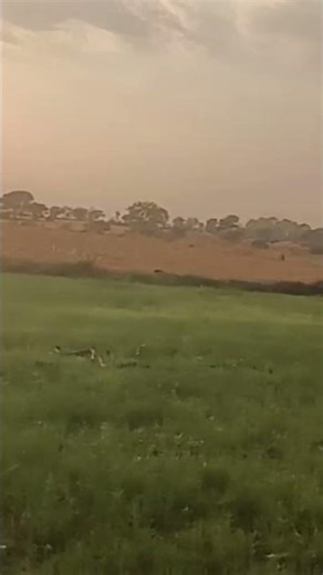 Swagat h hamare plot me#Funny vlog