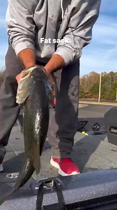 25lb Fat Sack | Allen Johnson