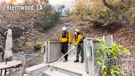 Blaze Media National Correspondent Julio Rosas reports from the frontlines in Malibu, Encino, Brentwood, and the Palisades, capturing exclusive footage of the wildfires devastating Los Angeles County. | Blaze Media