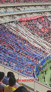 21K views · 276 reactions | Así vivimos el partido de Chivas vs Toluca.  | El Gigante De Mexico | Facebook