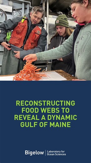 March 2026 Updates from Bigelow Laboratory for Ocean Sciences