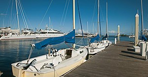 49K views · 469 reactions | Explore this bayside village, its sidewalk cafes, galleries & more. This is Coconut Grove. | Visit Miami | Facebook