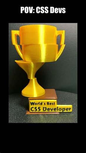 POV: CSS Devs (World's best CSS Developer) #coding #css