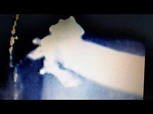 Ufo aliens real alien pictures that exist.