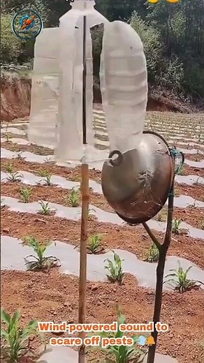 Creative DIY Wind Chime to Keep Birds Away