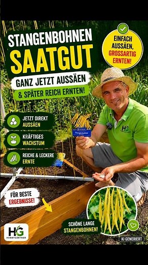 How to easily sow pole beans now for a great harvest later #info #garden #gardening #tips
