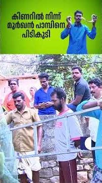 കിണറിൽ നിന്ന് മൂർഖൻ പാമ്പിനെ പിടികൂടി #snakemaster #vavasuresh