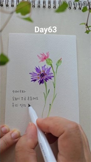 하루한송이 Day63/오늘도 말 없이 버틴 당신에게 #수레국화 #onestroke #shorts #꽃과글