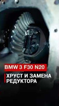 BMW F30 — хруст сзади 💀 #bmw #bmwf30 #f30 #bmwlife #bmwrepair #редуктор #автосервис #bmwgarage