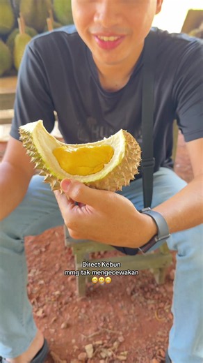 Durian Musang King Direct Kebun – Rasanya Tak Mengecewakan