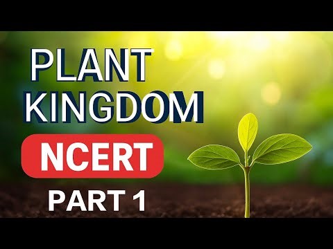 Plant Kingdom | NCERT Class 11 | NEET Biology | Part 1