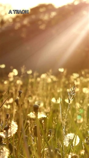 She's got lesson plans; he's got drumsticks... And one look changes both their pages. Want a slow burn that smells like jasmine and coffee? Share if you love a good bookstore meet-cute 🥰💜⚜️ #booktok #recoveryromance #indieauthor #bookish #charactercrush