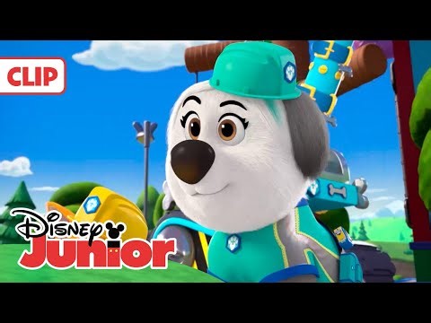 ¡CACHORROS A LA OBRA!: Trabajar en silencio 🐶