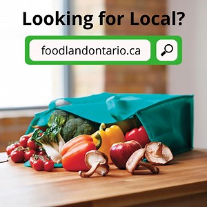 14 reactions | It's more important than ever to support local. Head over to our website to learn more about where to find fresh Ontario food near you! https://www.ontario.ca/foodland/foodland-ontario | Foodland Ontario | Facebook