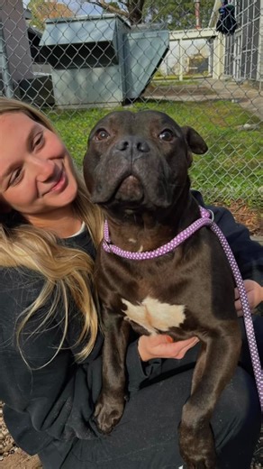 A hug can say what words can’t. Safety. Comfort. Love. Hope. 🤍 On National Hugging Day, we’re honoring the quiet, powerful moments between our shelter dogs and the people who care for them…our community, staff, and volunteers. Every hug helps heal a heart and reminds them they belong. 🐾 | Columbia Animal Services