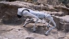 Unitree Go2 Air Quadruped Robotic Dog With Remote Control - UK Seller  | eBay UK
